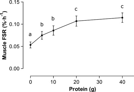 Muscle fractional synthetic rate dose response